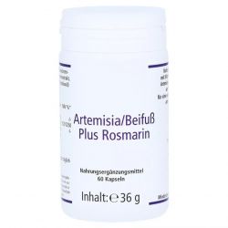 Артемизинин 150 мг капс. 60шт в Бийске и области фото