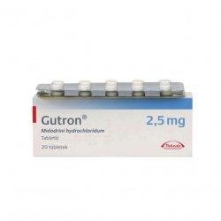 Гутрон таблетки 2,5 мг. №20 в Бийске и области фото